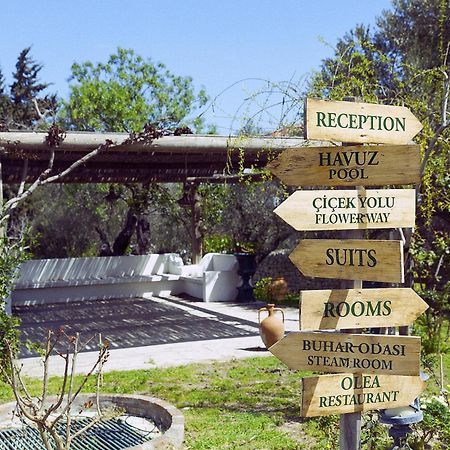 Olive Farm Of Datca Guesthouse (Adults Only) Εξωτερικό φωτογραφία