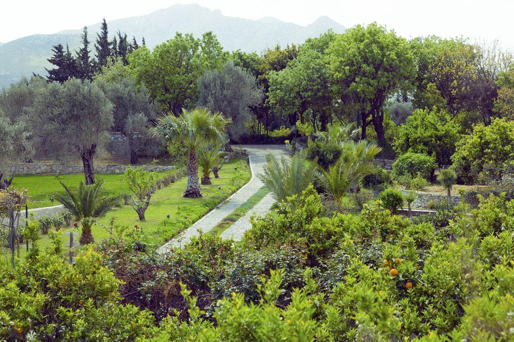 Olive Farm Of Datca Guesthouse (Adults Only) Εξωτερικό φωτογραφία