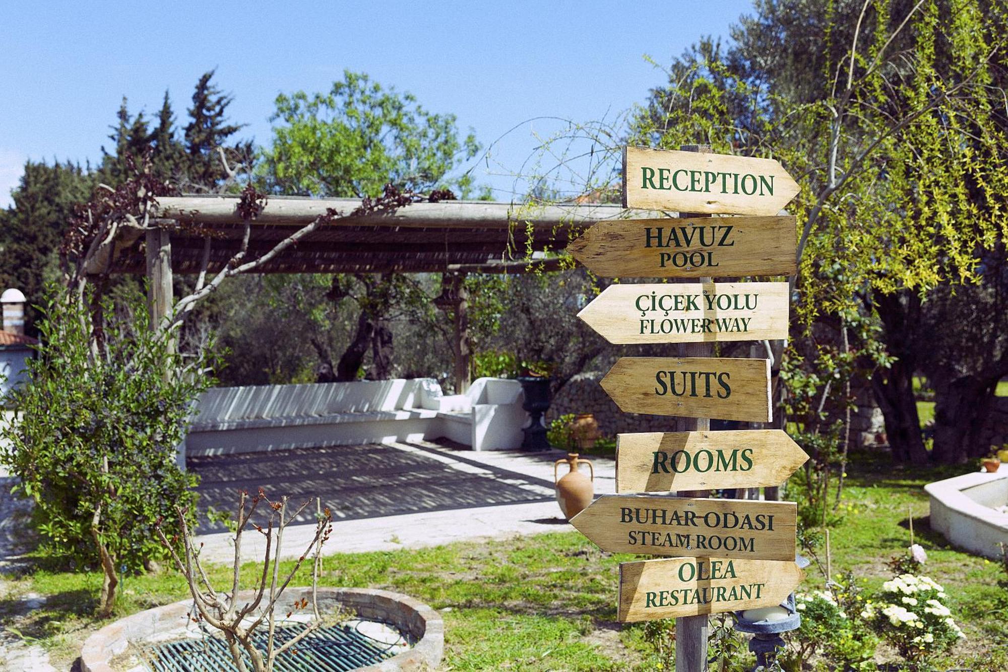 Olive Farm Of Datca Guesthouse (Adults Only) Εξωτερικό φωτογραφία