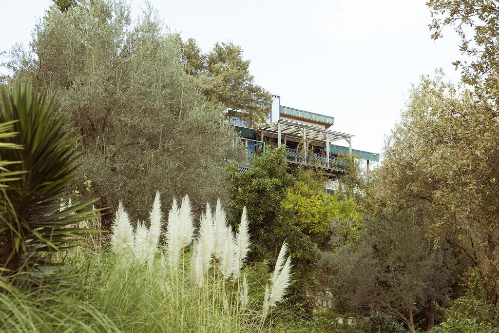 Olive Farm Of Datca Guesthouse (Adults Only) Εξωτερικό φωτογραφία