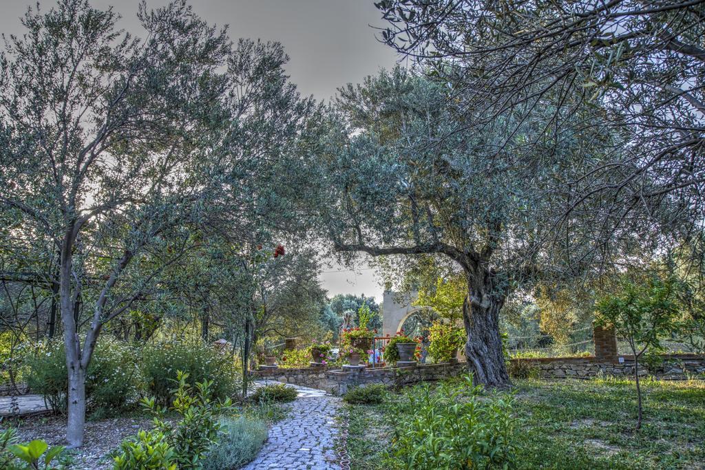Olive Farm Of Datca Guesthouse (Adults Only) Εξωτερικό φωτογραφία