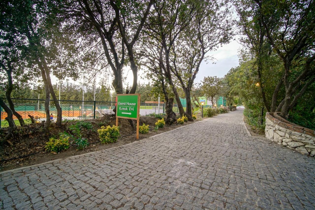 Olive Farm Of Datca Guesthouse (Adults Only) Εξωτερικό φωτογραφία
