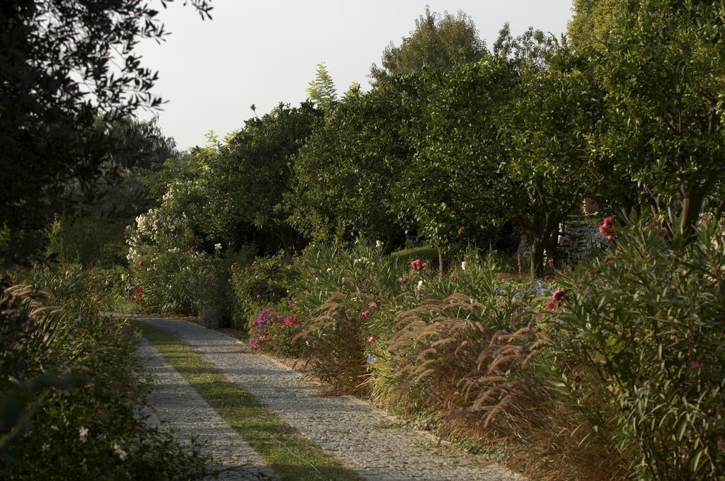 Olive Farm Of Datca Guesthouse (Adults Only) Εξωτερικό φωτογραφία