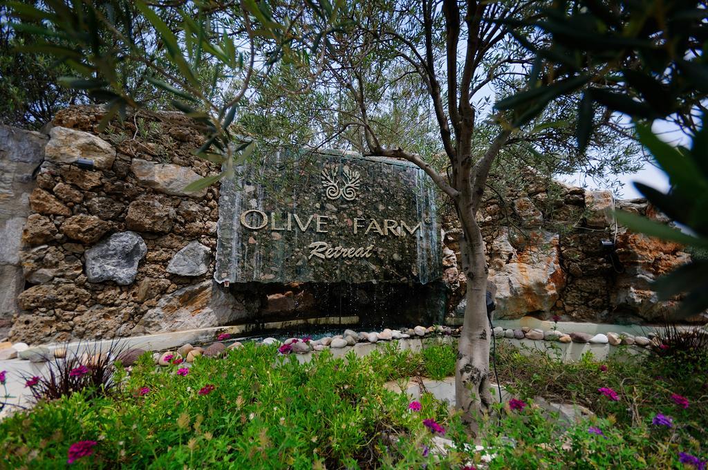 Olive Farm Of Datca Guesthouse (Adults Only) Εξωτερικό φωτογραφία