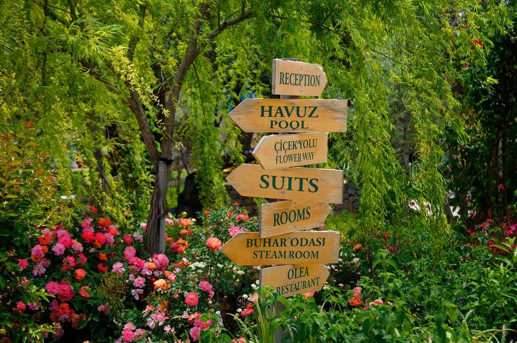 Olive Farm Of Datca Guesthouse (Adults Only) Εξωτερικό φωτογραφία