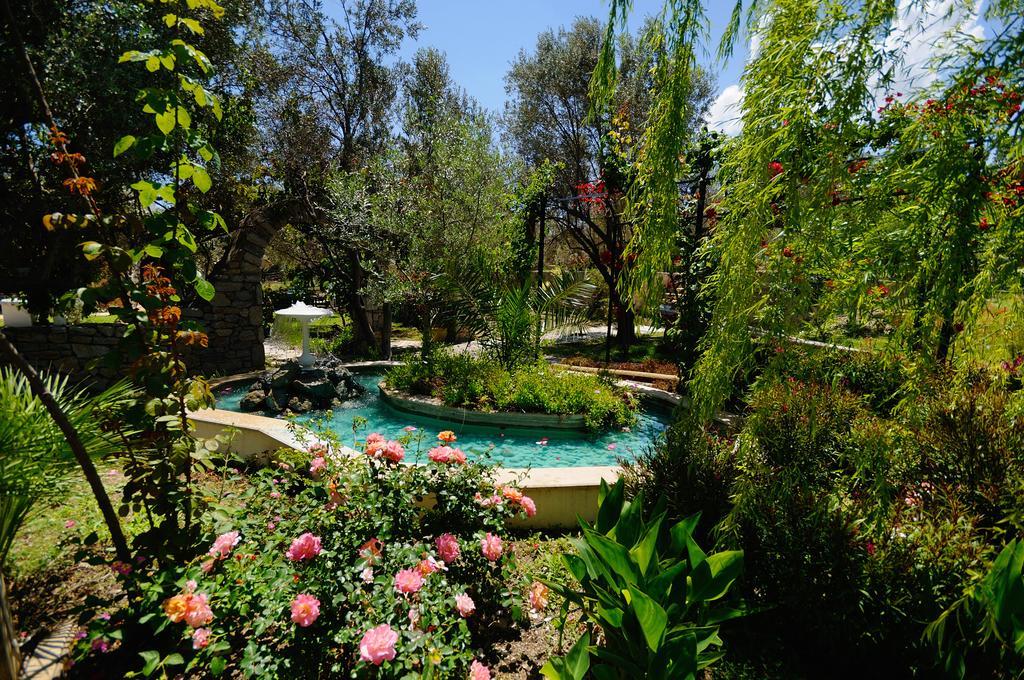Olive Farm Of Datca Guesthouse (Adults Only) Εξωτερικό φωτογραφία