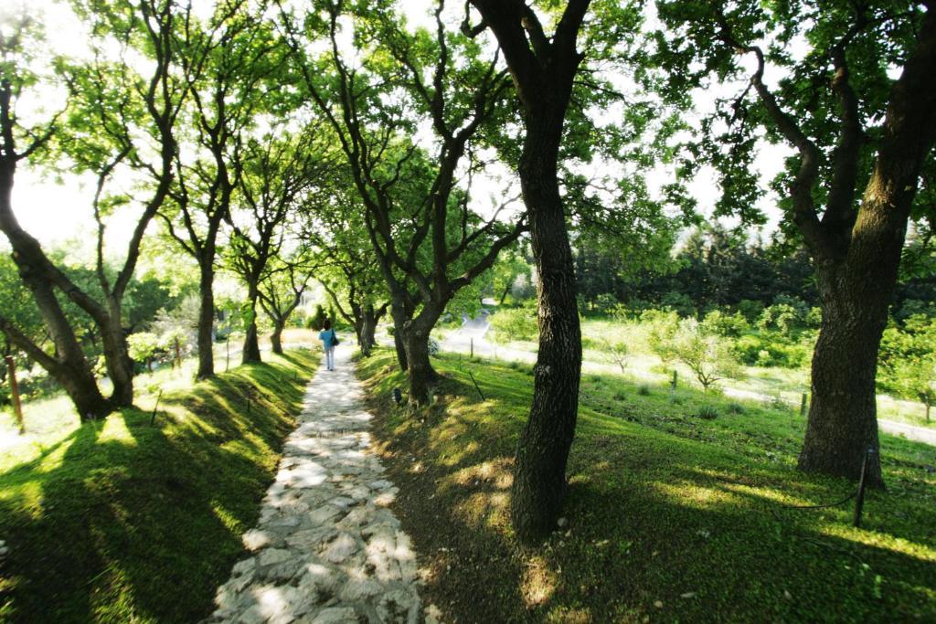 Olive Farm Of Datca Guesthouse (Adults Only) Εξωτερικό φωτογραφία
