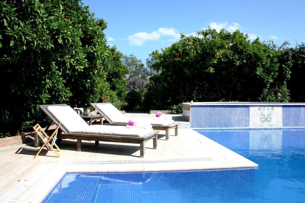Olive Farm Of Datca Guesthouse (Adults Only) Εξωτερικό φωτογραφία