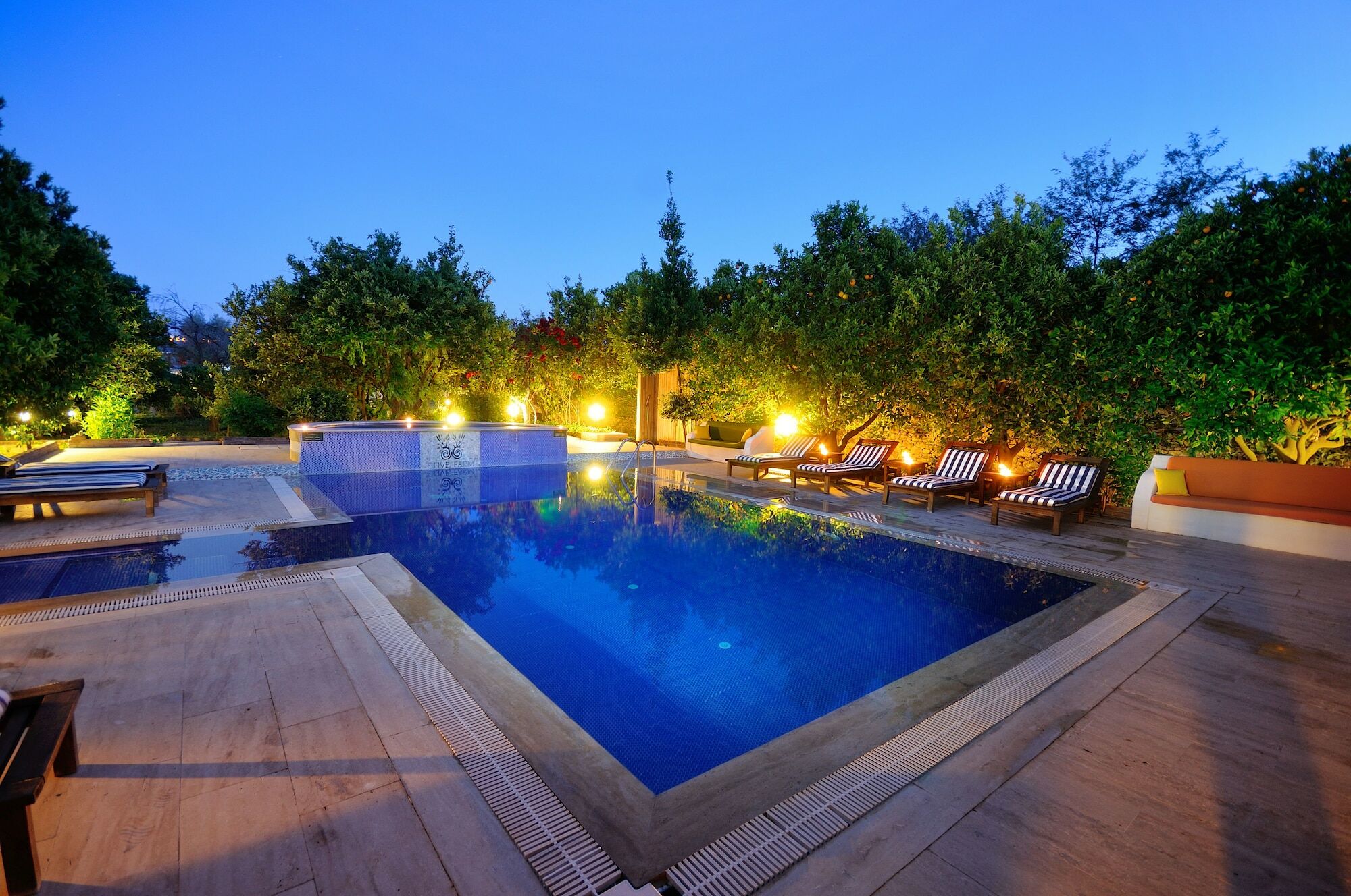Olive Farm Of Datca Guesthouse (Adults Only) Εξωτερικό φωτογραφία